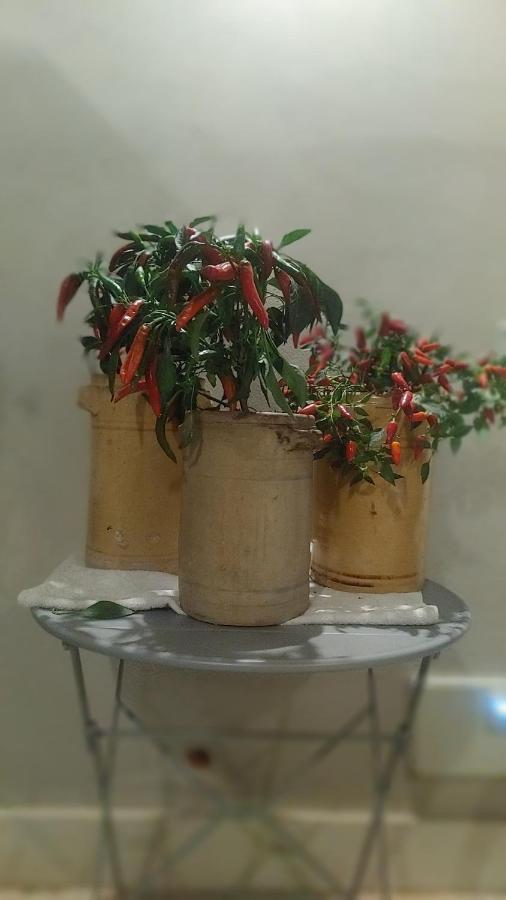 Attico Sul Porto Di Catania E Vista Vulcano エクステリア 写真