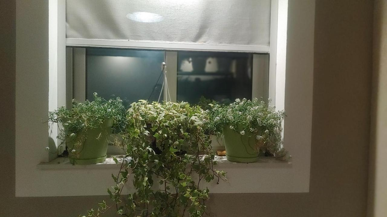 Attico Sul Porto Di Catania E Vista Vulcano エクステリア 写真