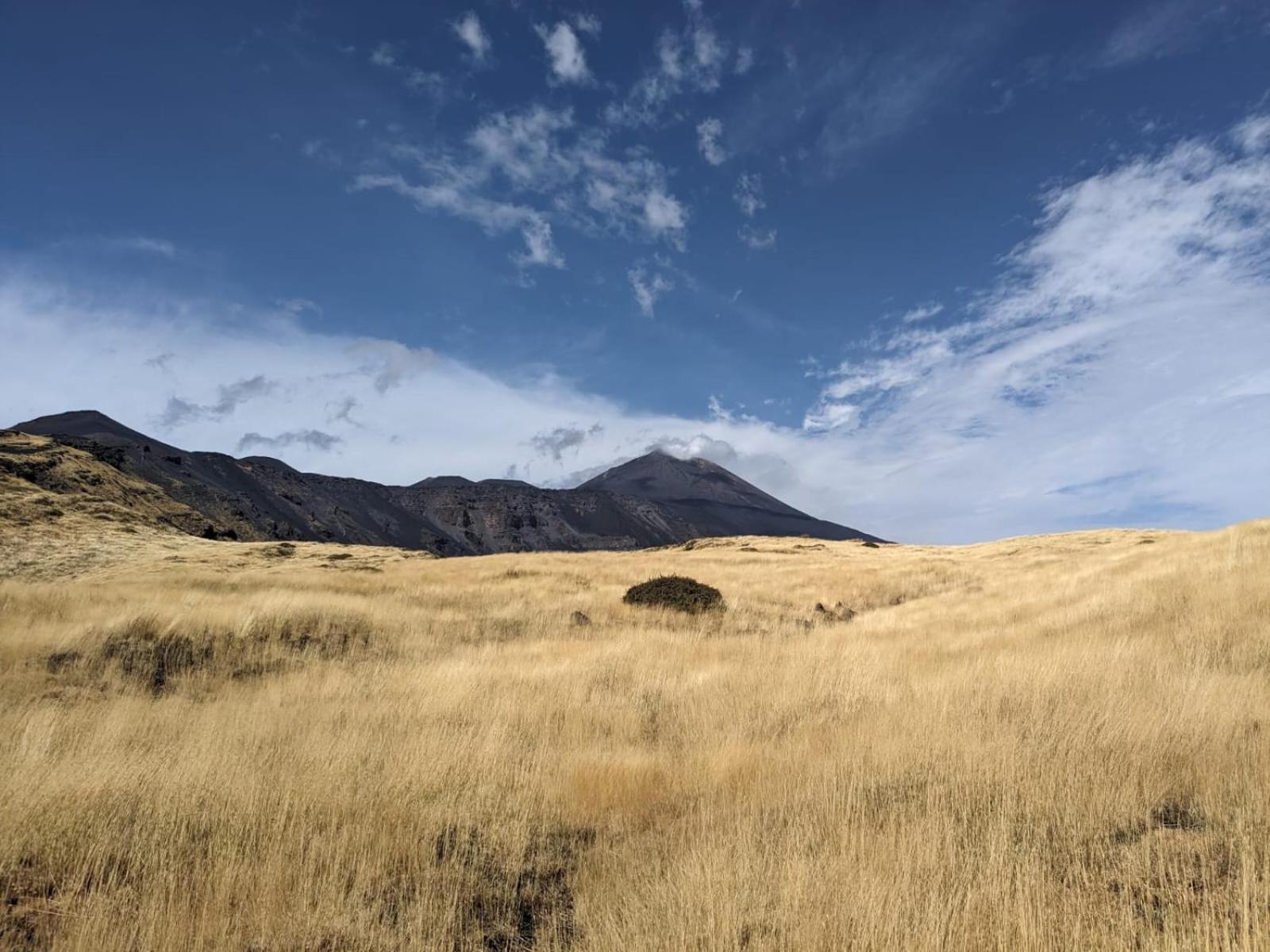 Attico Sul Porto Di Catania E Vista Vulcano エクステリア 写真